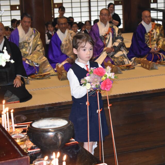 総本山永観堂にて法然上人御忌会が厳修され、永観堂幼稚園の園児が献灯・献華や仏讃歌を奉納いたしました

#永観堂幼稚園　
#永観堂　
#御忌会　
#法然上人　
#献灯
#献華　
#京都市私立幼稚園